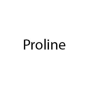 Proline Dryer Bearings